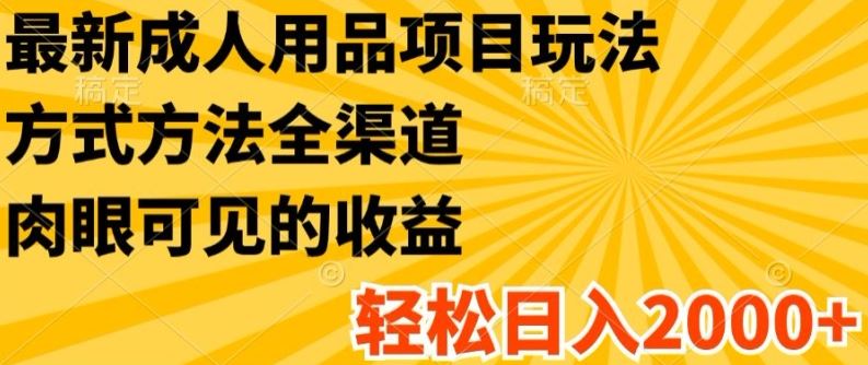 最新成人用品项目玩法，方式方法全渠道，轻松日入2K+【揭秘】-随风网创