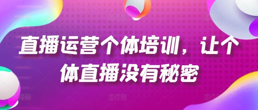 直播运营个体培训，让个体直播没有秘密，起号、货源、单品打爆、投流等玩法-随风网创