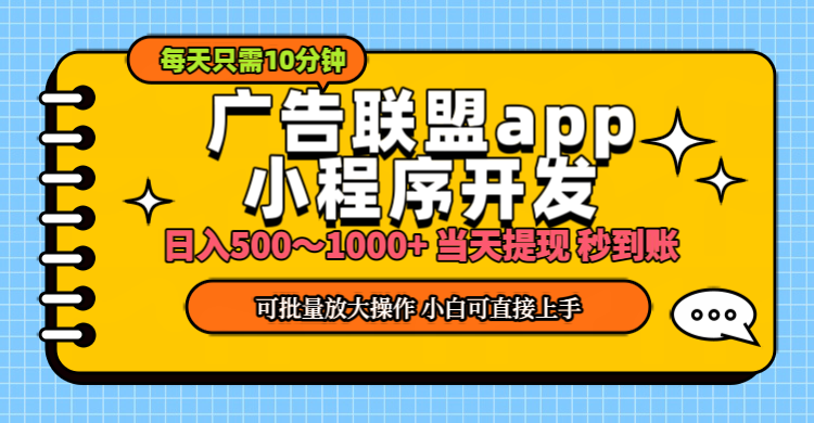 （11645期）小程序开发 广告赚钱 日入500~1000+ 小白轻松上手！-随风网创