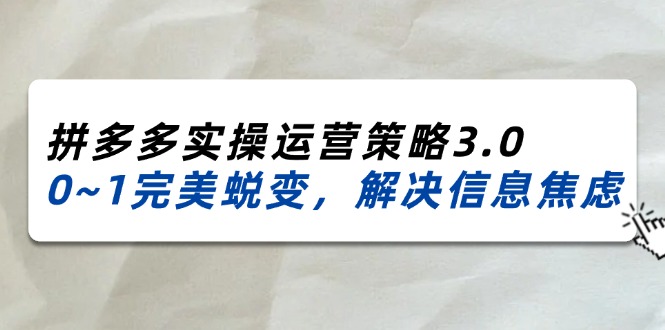 （11658期）2024_2025拼多多实操运营策略3.0，0~1完美蜕变，解决信息焦虑（38节）-随风网创