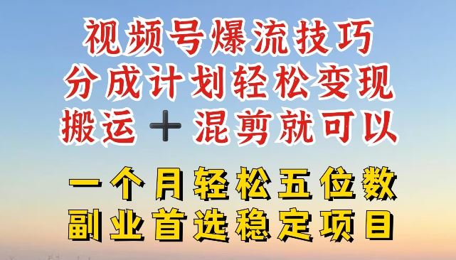 视频号爆流技巧，分成计划轻松变现，搬运 +混剪就可以，一个月轻松五位数稳定项目【揭秘】-随风网创