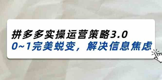 2024-2025拼多多实操运营策略3.0，0~1完美蜕变，解决信息焦虑（38节）-随风网创