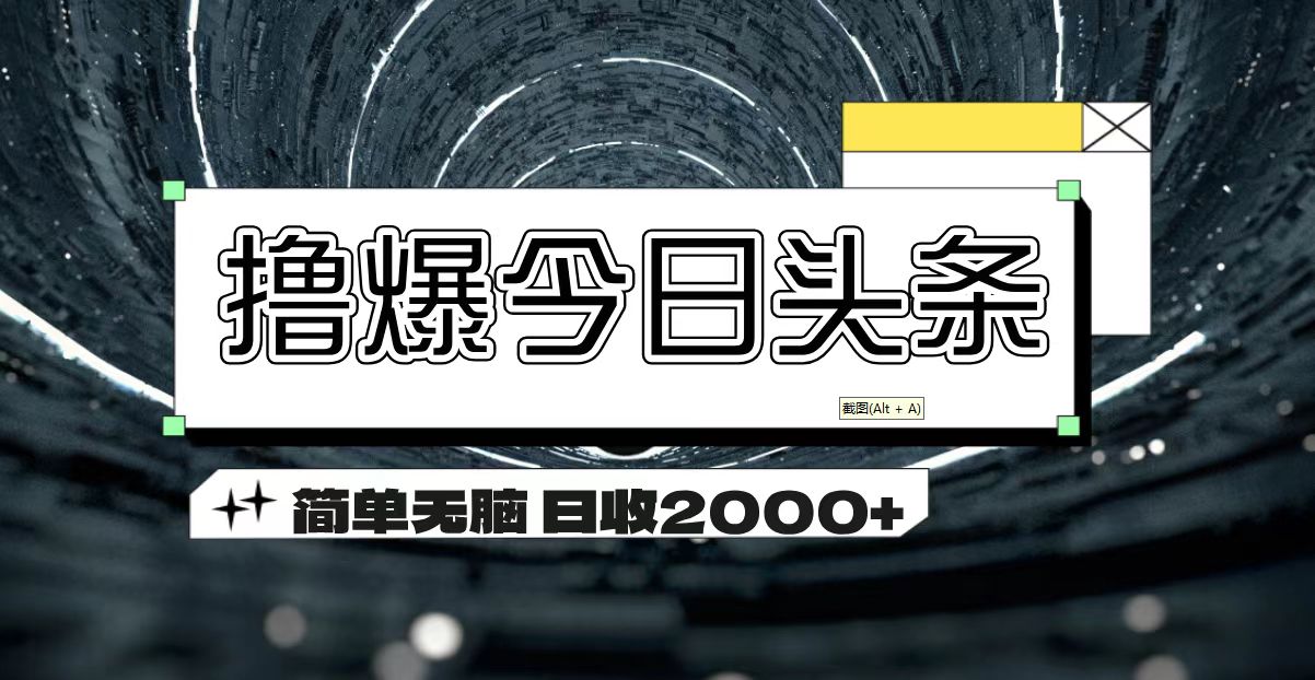 （11665期）撸爆今日头条 简单无脑操作 日收2000+-随风网创