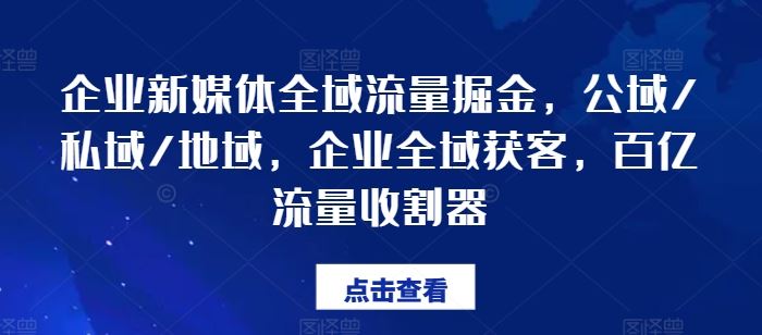 企业新媒体全域流量掘金，公域/私域/地域，企业全域获客，百亿流量收割器-随风网创