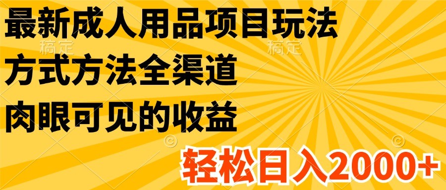 最新成人用品项目玩法，方式方法全渠道，肉眼可见的收益，轻松日入2000+-随风网创