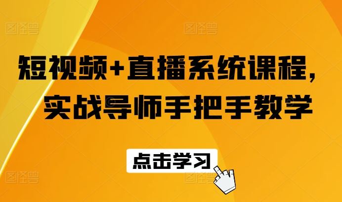 短视频+直播系统课程，实战导师手把手教学-随风网创