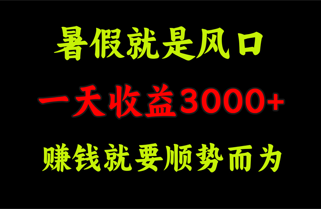 （11670期）一天收益3000+ 赚钱就是顺势而为，暑假就是风口-随风网创