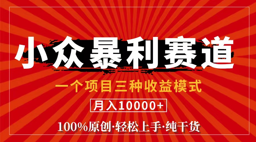 （11695期）视频号【中老年粉深信不疑】小众赛道 100%原创 手把手教学 新号3天收益…-随风网创