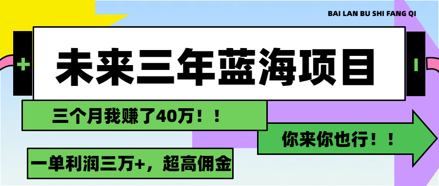 （11716期）未来三年，蓝海赛道，月入3万+-随风网创