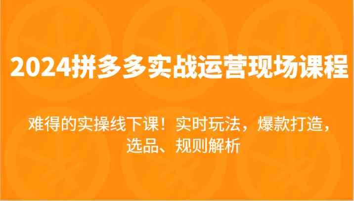 2024拼多多实战运营现场课，实时玩法，爆款打造，选品、规则解析，难得的实操线下课！-随风网创