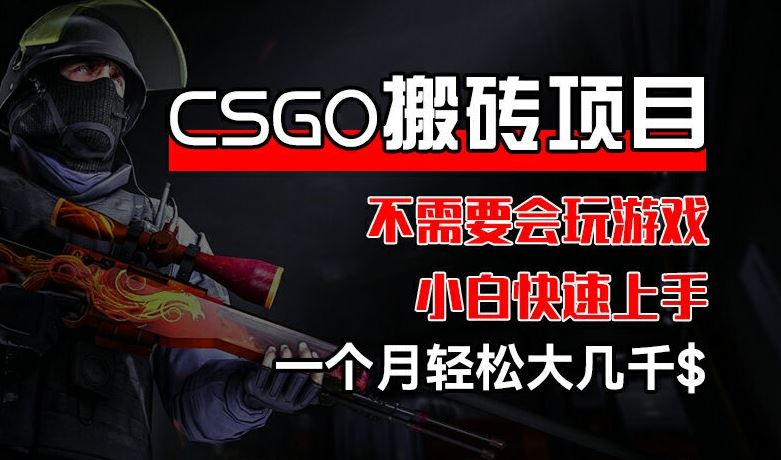 CSGO 装备搬砖项目，操作简单，不需要会玩游戏，小白也能快速上手，一个月轻松大几千【揭秘】-随风网创