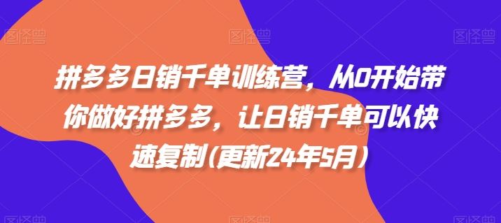 拼多多日销千单训练营，从0开始带你做好拼多多，让日销千单可以快速复制(更新24年7月)-随风网创