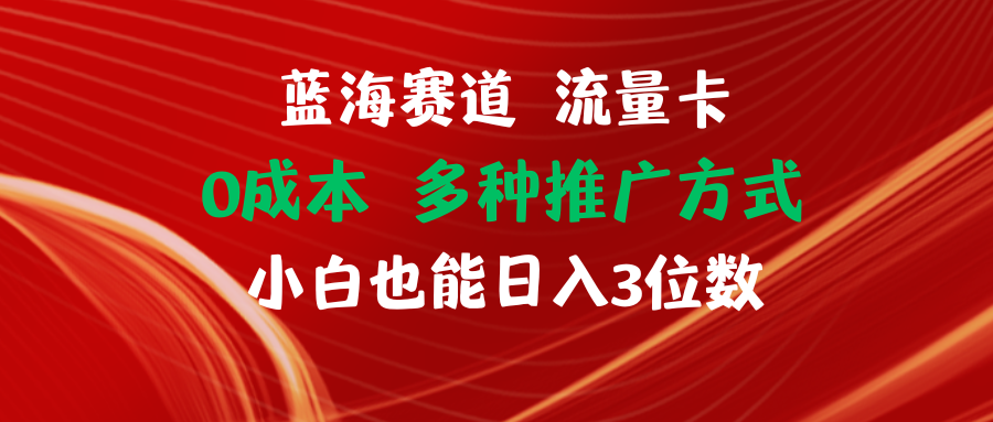 （11768期）蓝海赛道 流量卡 0成本 小白也能日入三位数-随风网创