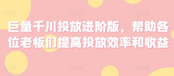 巨量千川投放进阶版，帮助各位老板们提高投放效率和收益-随风网创