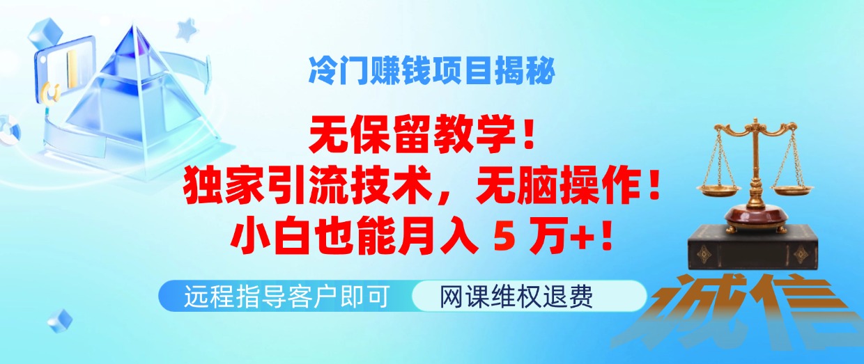 （11864期）冷门赚钱项目无保留教学！独家引流技术，无脑操作！小白也能月入5万+！-随风网创