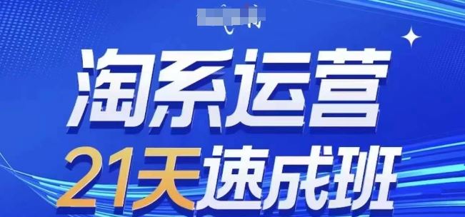 淘系运营21天速成班(更新24年6月)，0基础轻松搞定淘系运营，不做假把式-随风网创