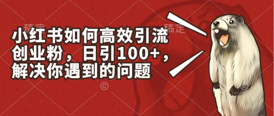 小红书如何高效引流创业粉，日引100+，解决你遇到的问题-随风网创