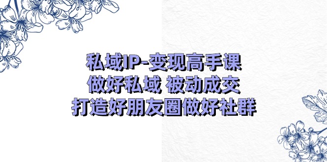 （11209期）私域IP-变现高手课：做好私域 被动成交，打造好朋友圈做好社群（18节）-随风网创