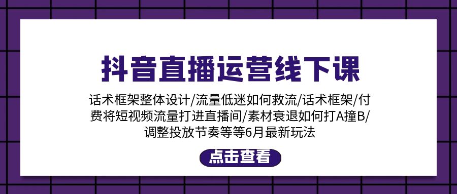 （11211期）抖音直播运营线下课：话术框架/付费流量直播间/素材A撞B/等6月新玩法-随风网创