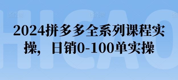 2024拼多多全系列课程实操，日销0-100单实操【必看】-随风网创