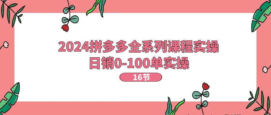 （11222期）2024拼多多全系列课程实操，日销0-100单实操【16节课】-随风网创