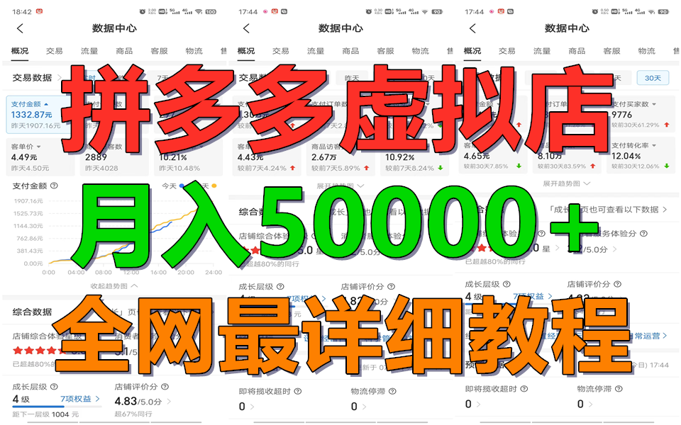 拼多多虚拟电商训练营月入50000+你也行，暴利稳定长久，副业首选-随风网创