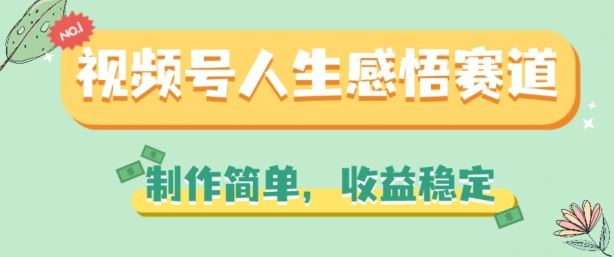 视频号人生感悟赛道，制作简单，收益稳定【揭秘】-随风网创