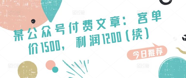 某公众号付费文章：客单价1500，利润1200(续)，市场几乎可以说是空白的-随风网创