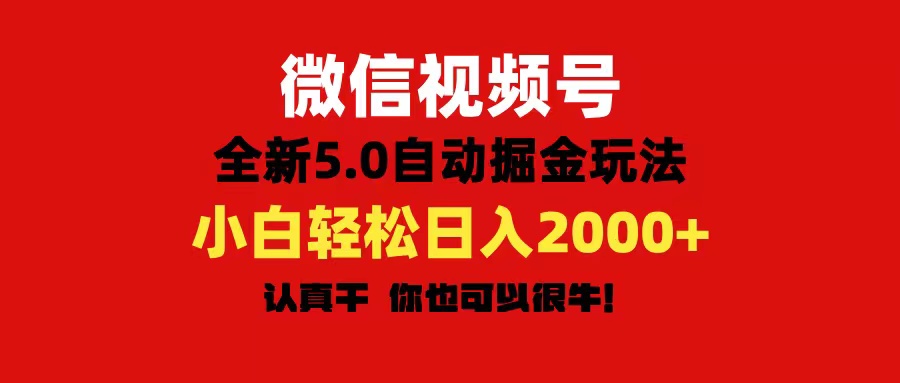 （11332期）微信视频号变现，5.0全新自动掘金玩法，日入利润2000+有手就行-随风网创