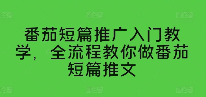 番茄短篇推广入门教学，全流程教你做番茄短篇推文-随风网创