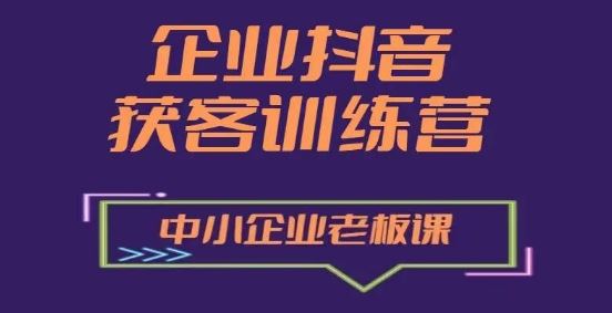 企业抖音营销获客增长训练营，中小企业老板必修课-随风网创