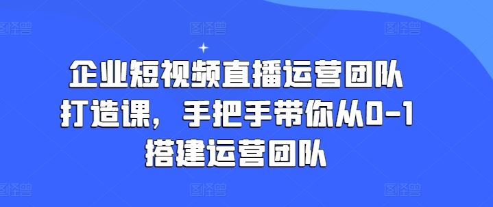 企业短视频直播运营团队打造课，手把手带你从0-1搭建运营团队-随风网创