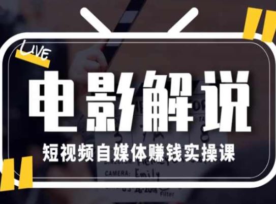 电影解说短视频自媒体赚钱实操课，教你做电影解说短视频，月赚1万-随风网创