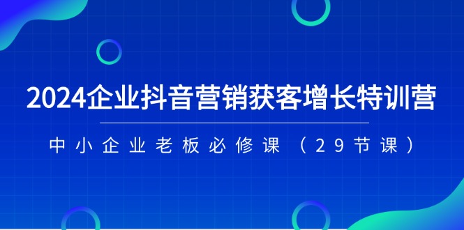 2024企业抖音营销获客增长特训营，中小企业老板必修课（29节课）-随风网创