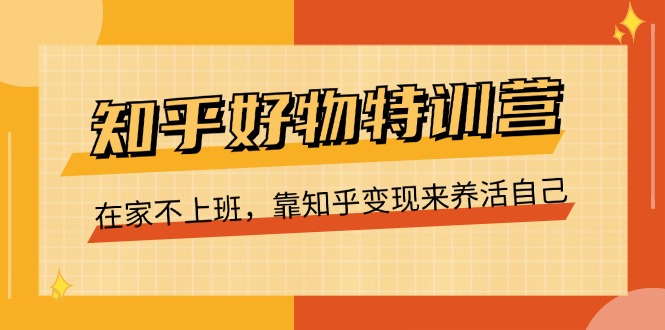 知乎好物特训营，在家不上班，靠知乎变现来养活自己（16节）-随风网创