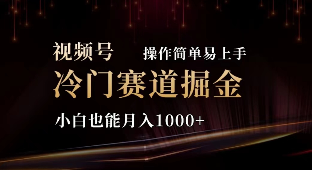 （11378期）2024视频号冷门赛道掘金，操作简单轻松上手，小白也能月入1000+-随风网创