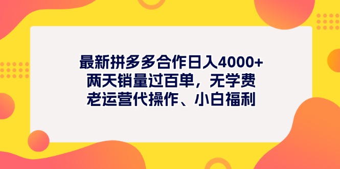 （11410期）最新拼多多项目日入4000+两天销量过百单，无学费、老运营代操作、小白福利-随风网创