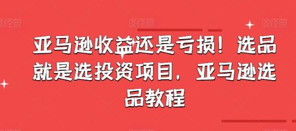 亚马逊收益还是亏损！选品就是选投资项目，亚马逊选品教程-随风网创