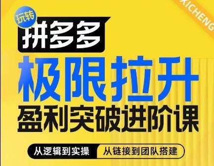 拼多多极限拉升盈利突破进阶课，​从算法到玩法，从玩法到团队搭建，体系化系统性帮助商家实现利润提升-随风网创