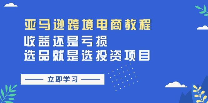 （11432期）亚马逊跨境电商教程：收益还是亏损！选品就是选投资项目-随风网创