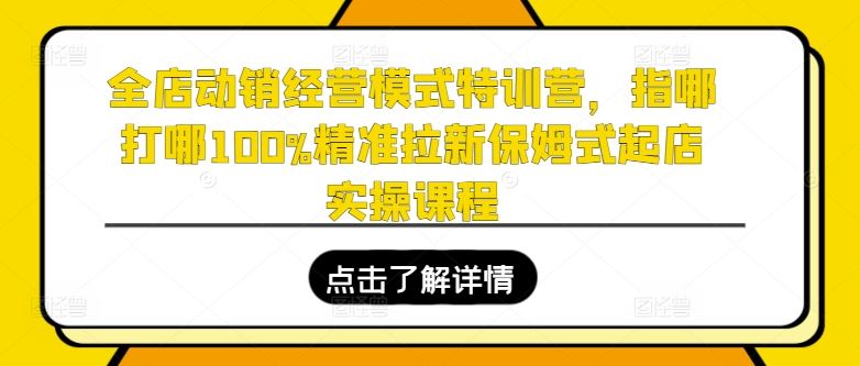 全店动销经营模式特训营，指哪打哪100%精准拉新保姆式起店实操课程-随风网创