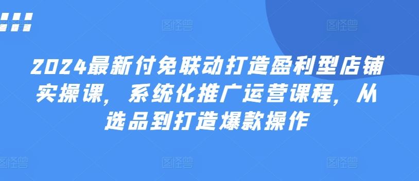 2024最新付免联动打造盈利型店铺实操课，​系统化推广运营课程，从选品到打造爆款操作-随风网创