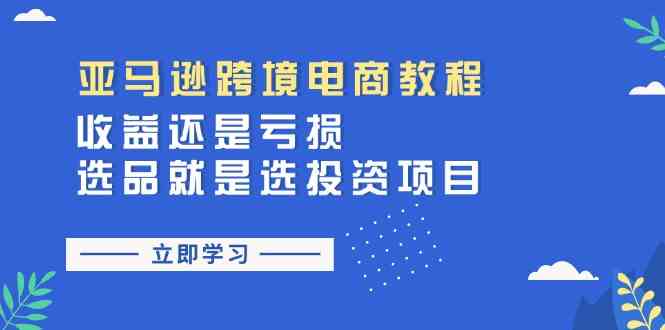 亚马逊跨境电商教程：收益还是亏损！选品就是选投资项目-随风网创