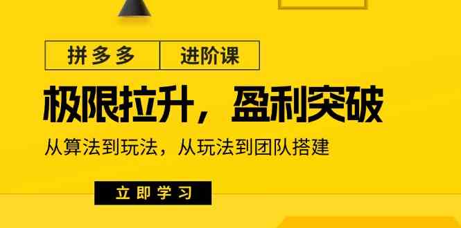 拼多多进阶课：极限拉升/盈利突破：从算法到玩法 从玩法到团队搭建（18节）-随风网创