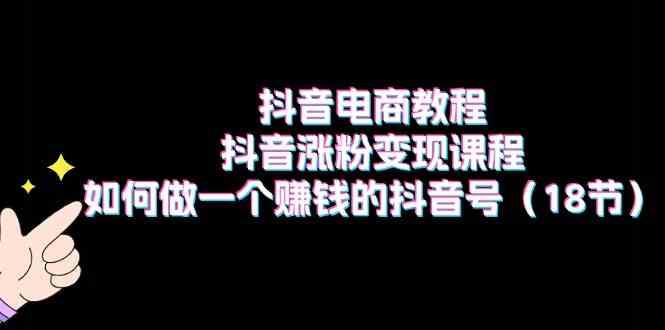 抖音电商教程：抖音涨粉变现课程：如何做一个赚钱的抖音号（18节）-随风网创