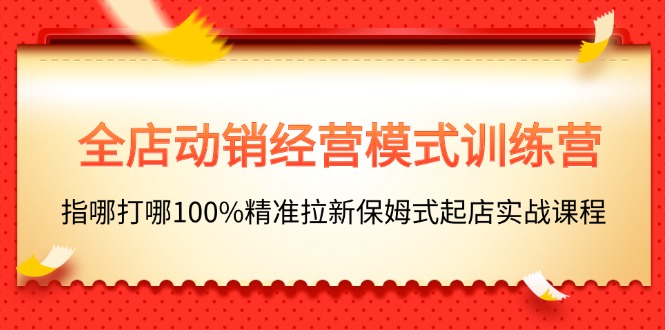 （11460期）全店动销-经营模式训练营，指哪打哪100%精准拉新保姆式起店实战课程-随风网创