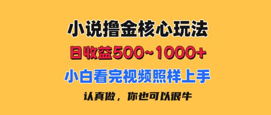 （11461期）小说撸金核心玩法，日收益500-1000+，小白看完照样上手，0成本有手就行-随风网创