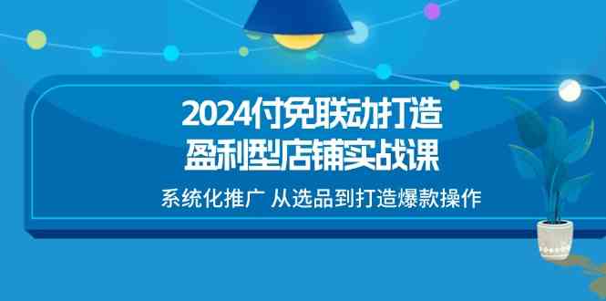 2024付免联动打造盈利型店铺实战课，系统化推广 从选品到打造爆款操作-随风网创