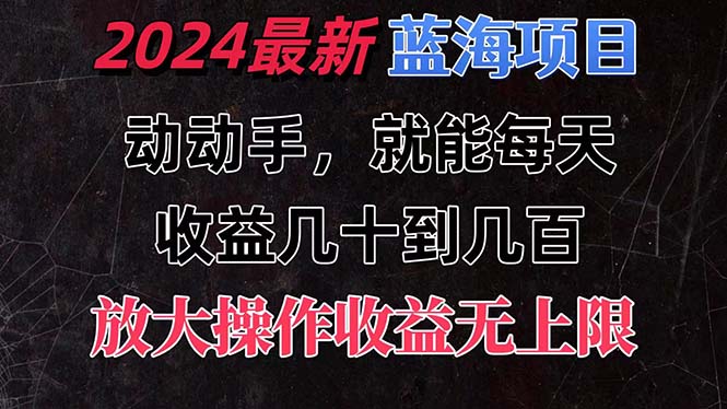 （11470期）有手就行的2024全新蓝海项目，每天1小时收益几十到几百，可放大操作收…-随风网创