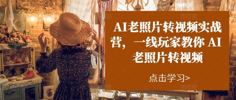 AI老照片转视频实战营，一线玩家教你AI老照片转视频-随风网创